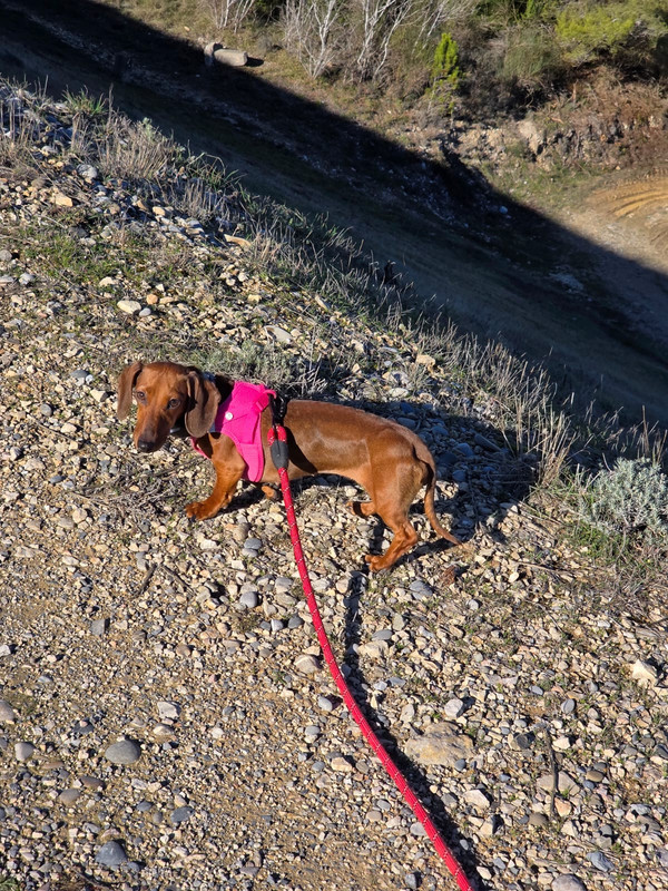 [Image: IMG-20251229-WA0001.jpg]