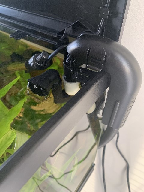 F6269542-C564-4DE0-B8D0-184202CABF47