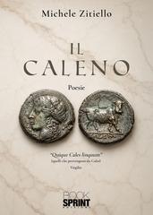 Michele Zitiello – Il Caleno (2026)