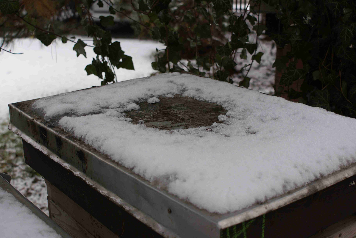 Vánoce 2009 004 (1)