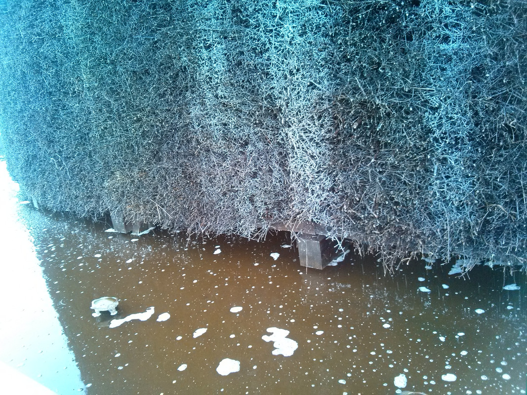 Slovacka-Poljska-2018 (590)