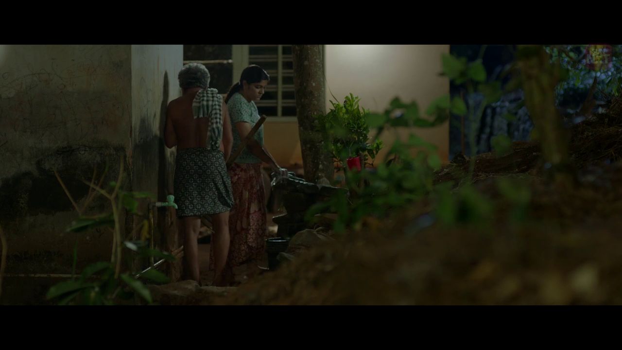 vlcsnap 2026 02 11 15h59m35s040