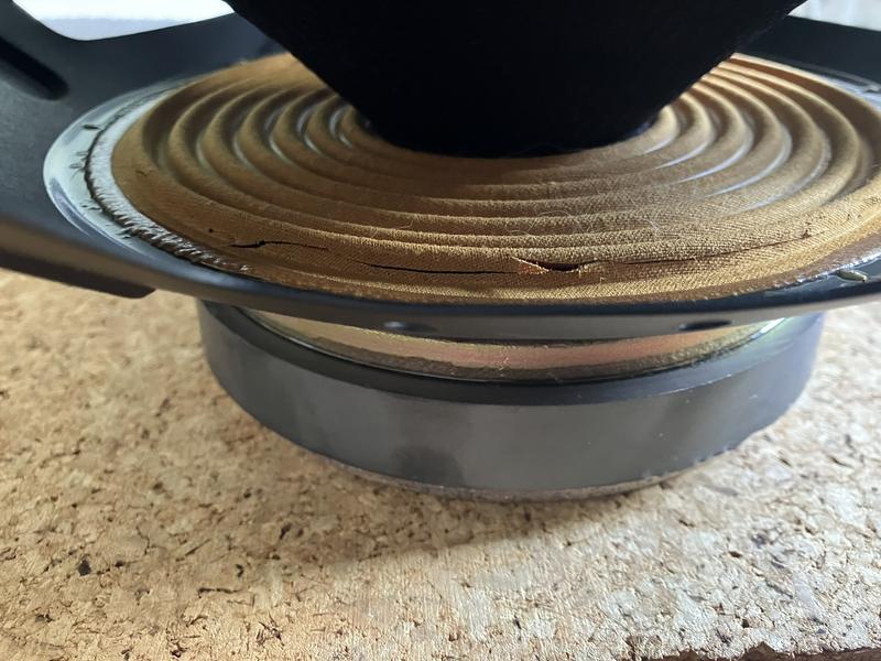 [Bild: Zentrierspinne-zerschnitten.jpg]