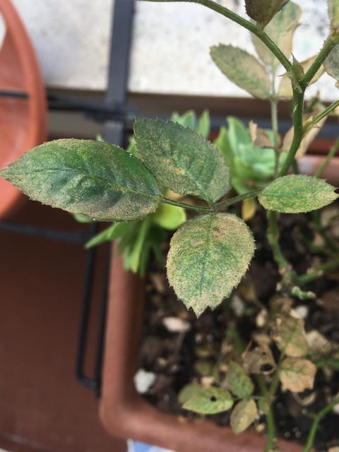 73651B80-5AA4-4129-85E8-CBC195BA6900