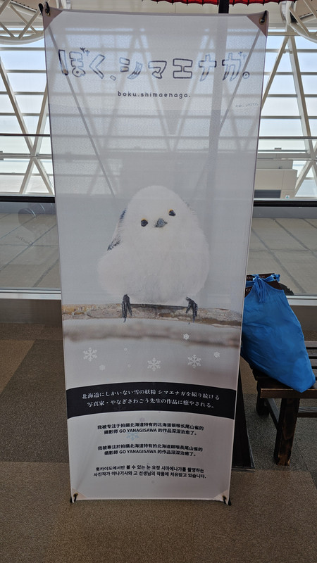 銀喉長尾山雀，北海道的吉祥物？旅途中好多地方都有，各位有發現嗎