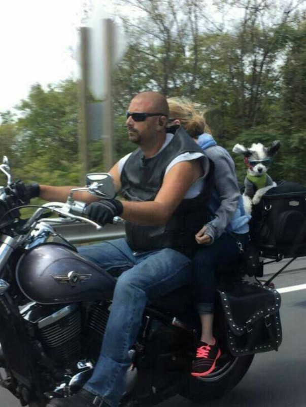 picdump-kw22-2023-034.jpg