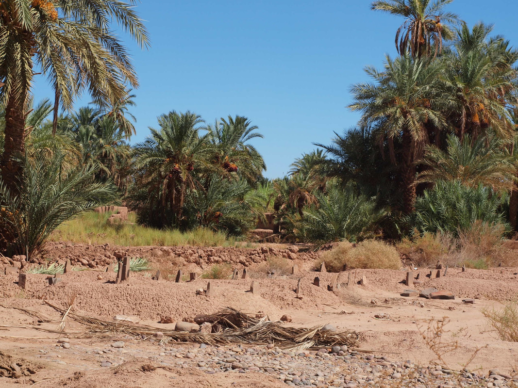El palmeral de Ternata : Zagora y Tissergate - El Valle del Drâa, la gran arteria del sur de Marruecos (9)