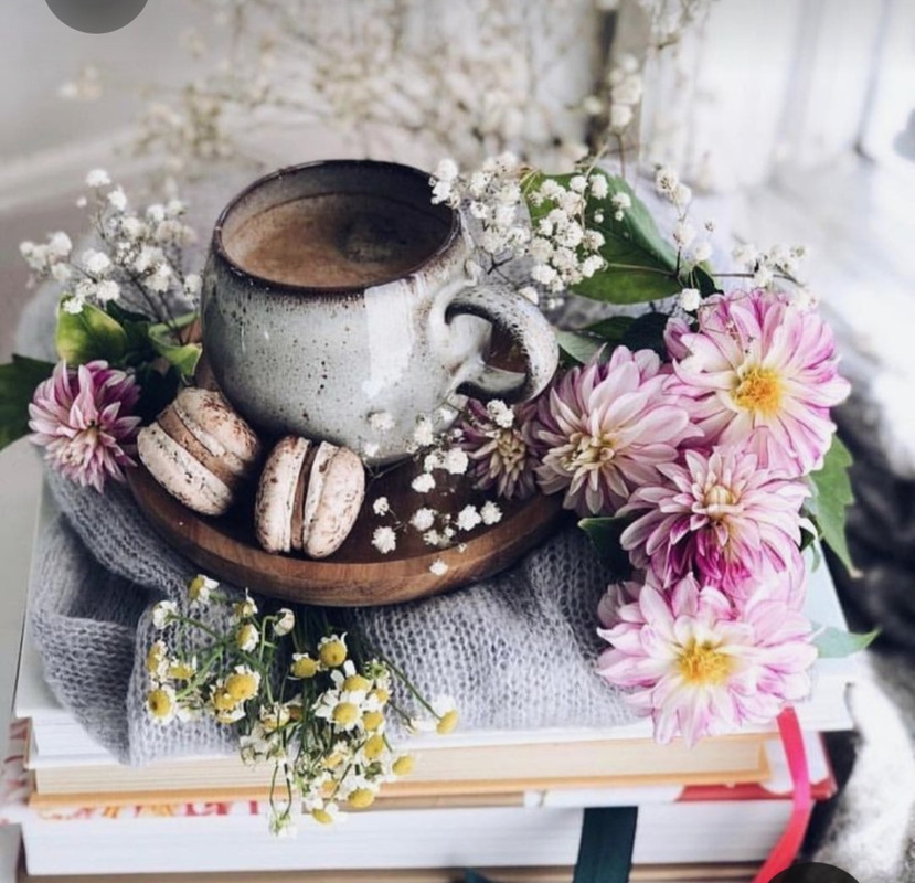 Screenshot_20230309_235845_Pinterest