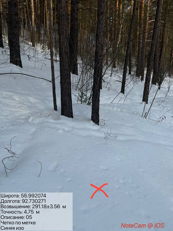 photo 2026 02 06 16 27 57