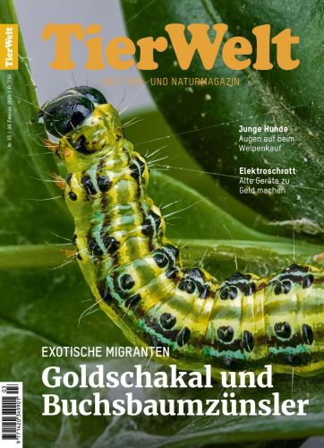 Cover: TierWelt Magazin No 03 März 2024