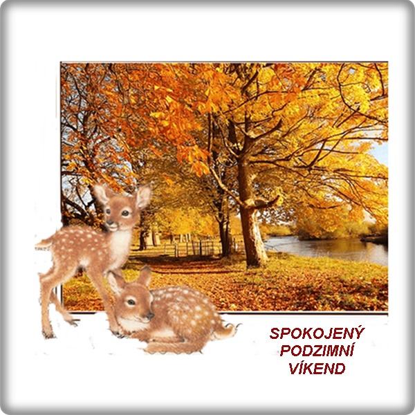 An den Beitrag angehängtes Bild: https://i.postimg.cc/PqDW9885/cats.jpg