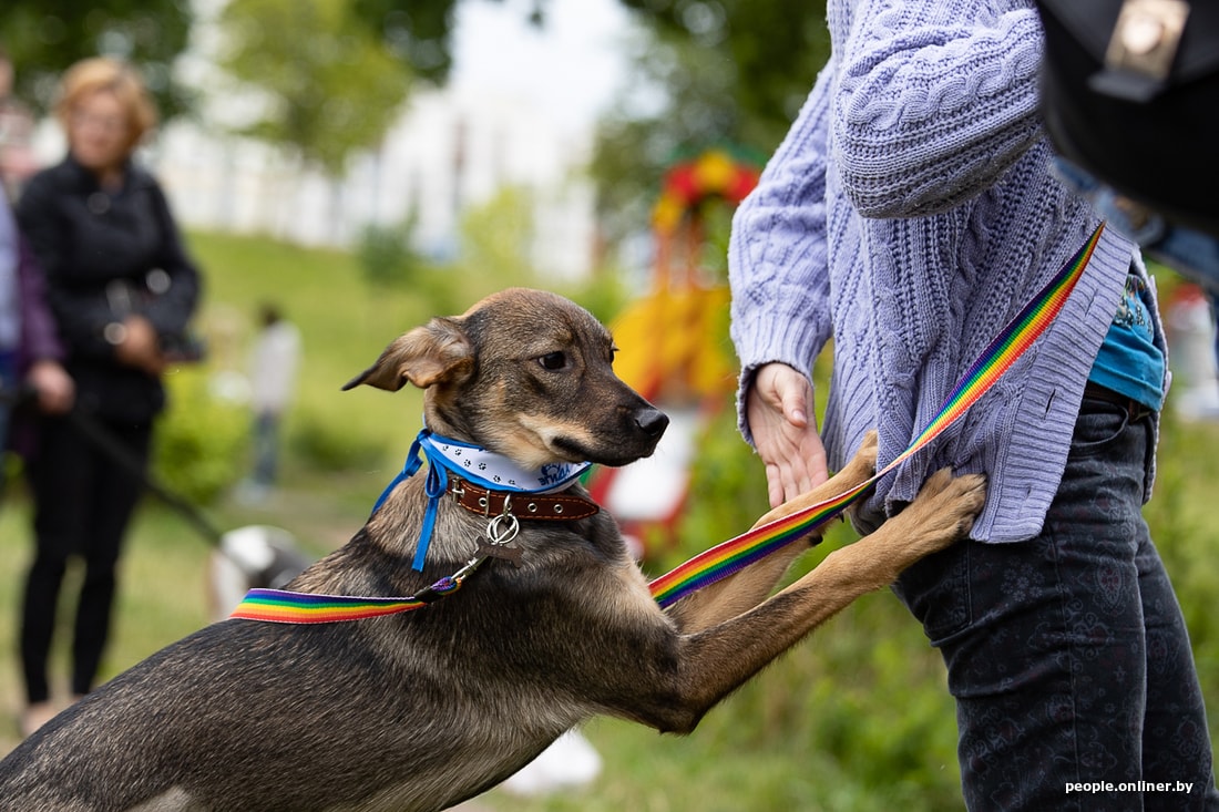 49d8db46c4f9c46ddbf3ad1b23e022e0