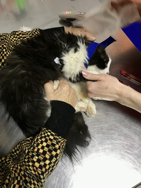 34B35C06-4FE3-4DB6-B74C-16FA0D9701CA