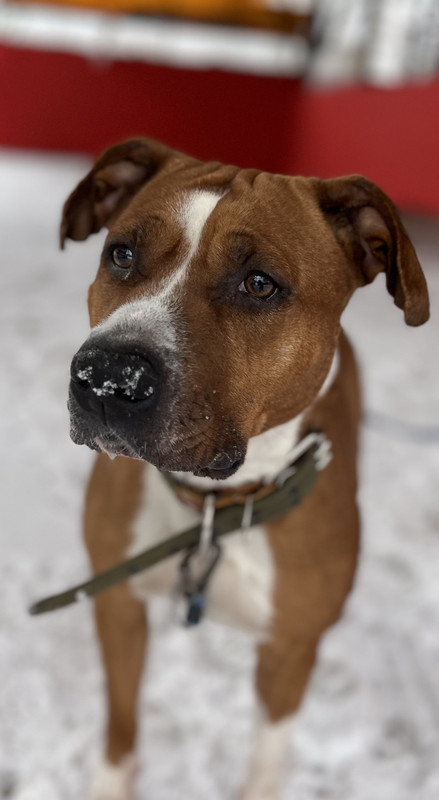 150C6A9D-81F6-47D0-8664-65FC80015E27