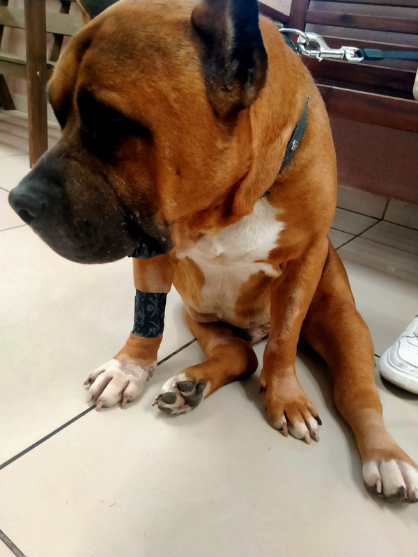 WhatsApp Image 2023-08-15 at 20.24.58 (2)