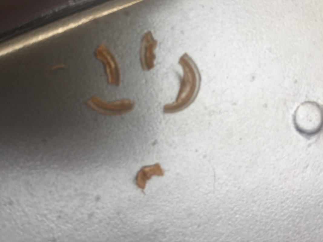 30 April 2018 silicone in fuel filter 2