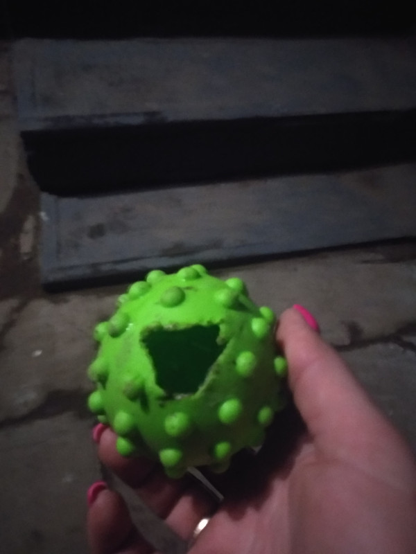 IMG_20220325_205808_HHT