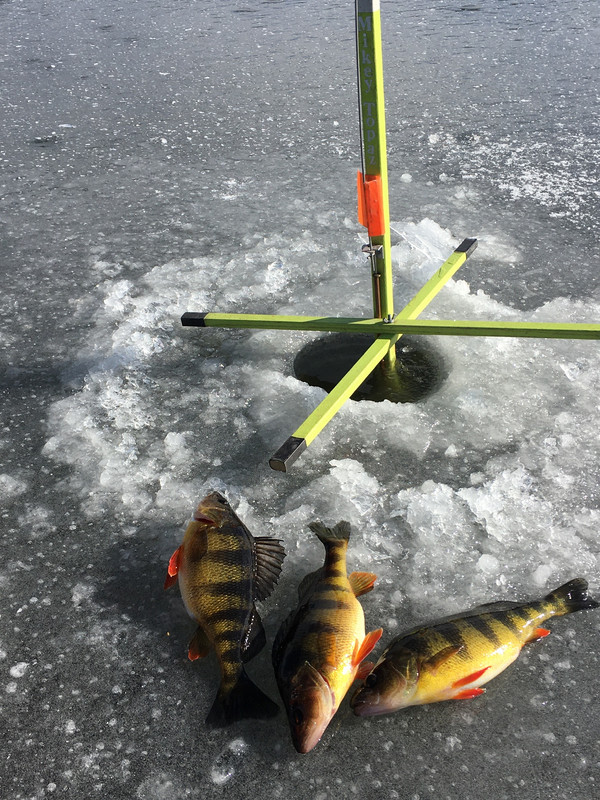 415313B3-7569-463F-88F8-27C43C1CCDA2