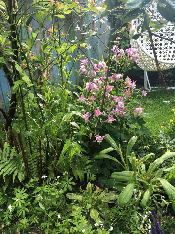 64FE10E3-2DD3-4BF8-8F4A-60E733E5F3D7