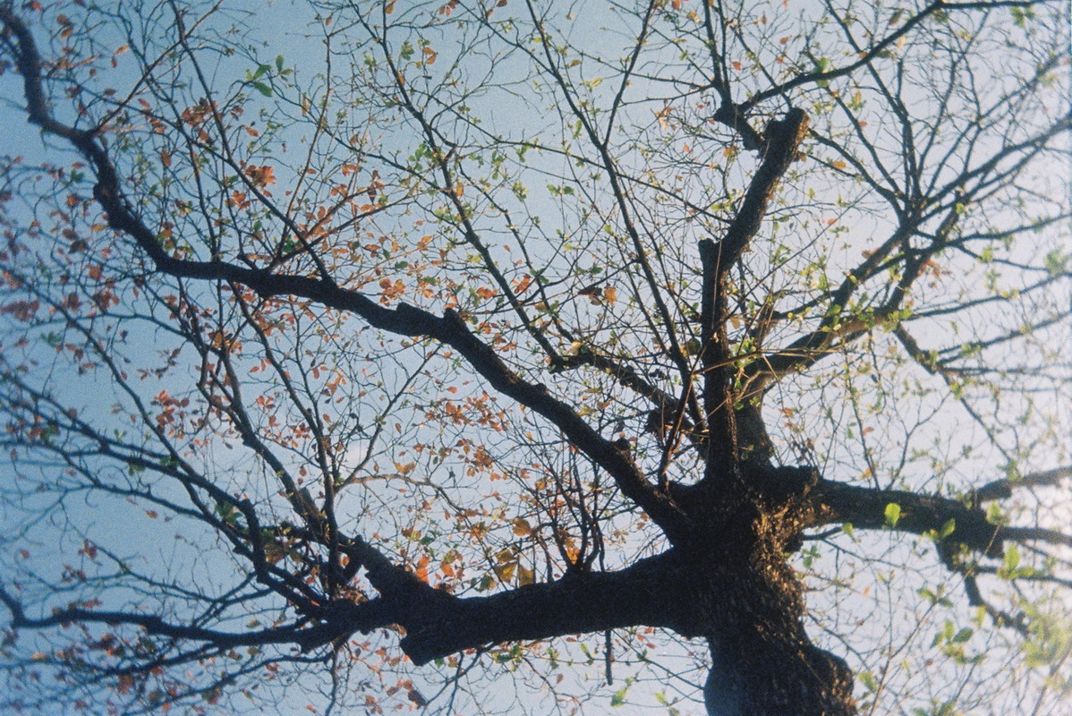Kodak-UMHF-112-resize