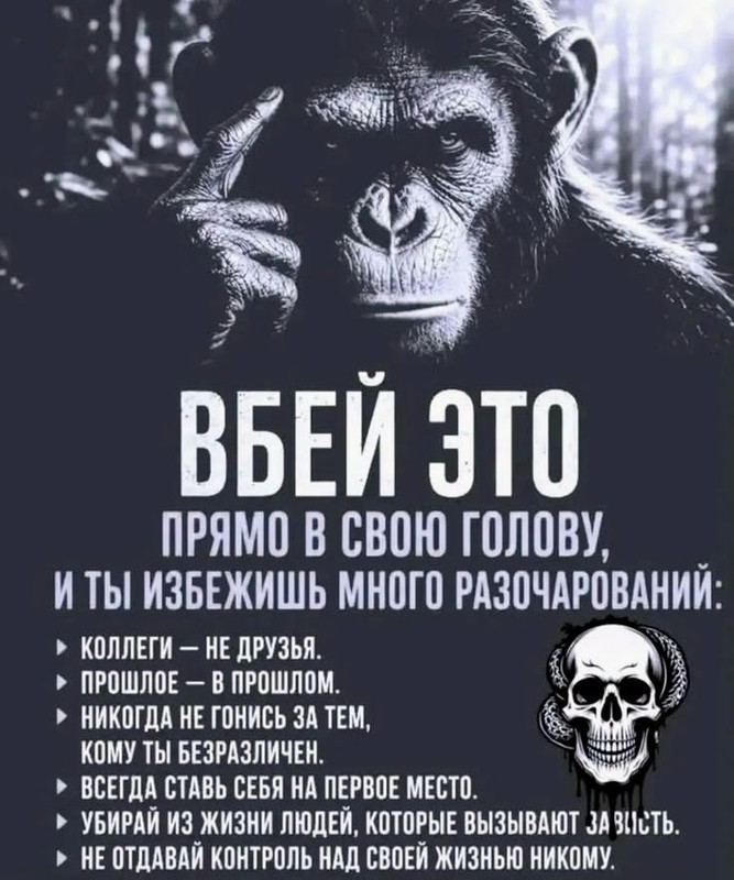 [Изображение: b28c5d5becb00493ea915f50d1ecc247.jpg]