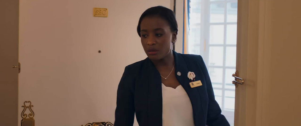 Striking The Palace 2024 WebRip [Hindi + Tamil + Telugu + French] 480p, 720p ESub Screenshot