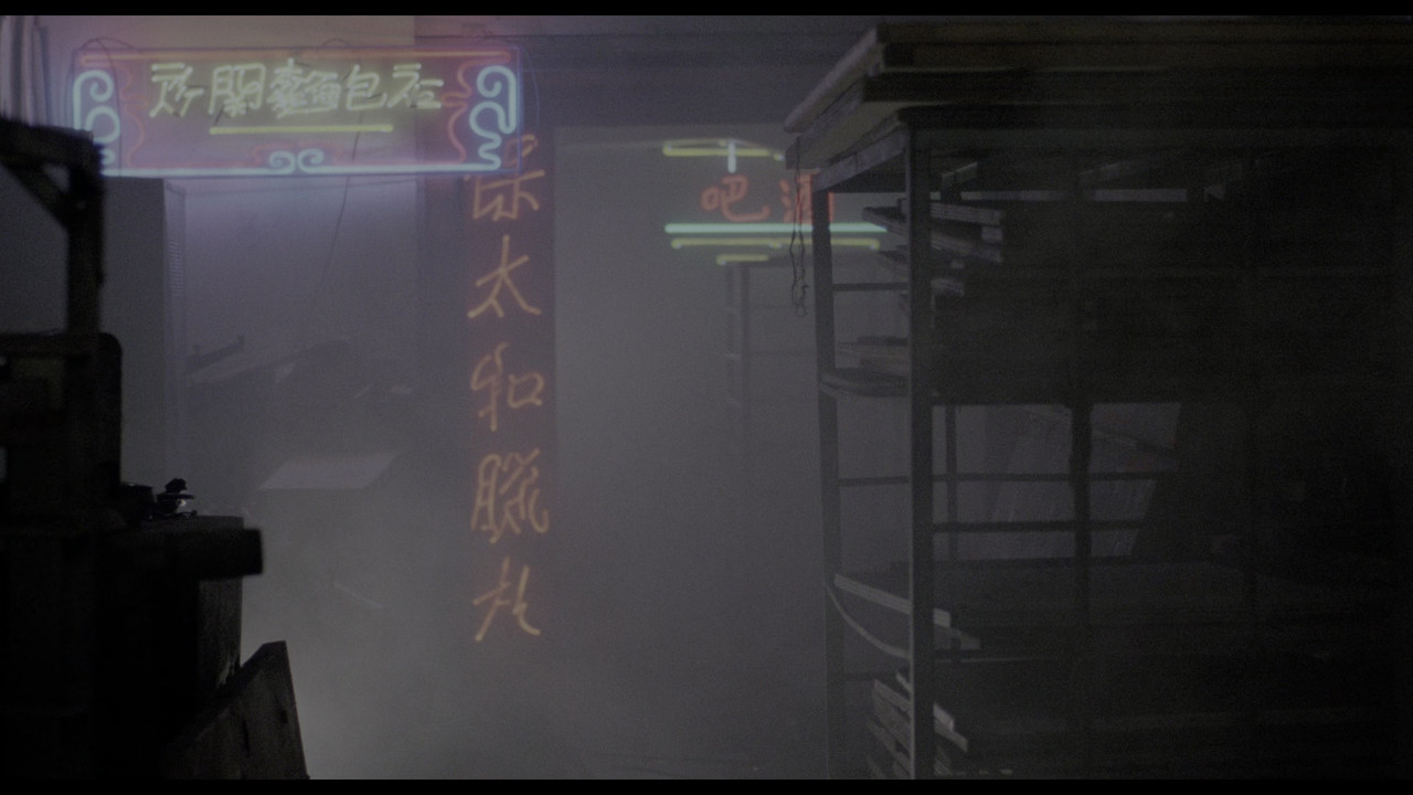 vlcsnap 2026 02 21 22h18m05s359