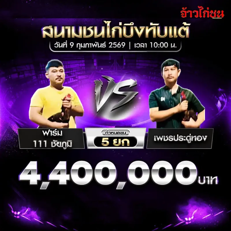 ฟาร์ม 111 ชัยภูมิ พบ เพชรประดู่ทอง โปรแกรมไก่ชน ชิงเงิน 4,400,000 บาท