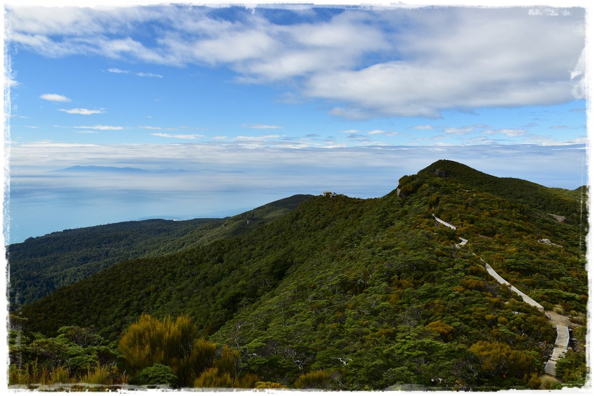 Escapadas y rutas por la Nueva Zelanda menos conocida - Blogs de Nueva Zelanda - Fiordland NP: Humpridge Track (febrero 2021) (4)