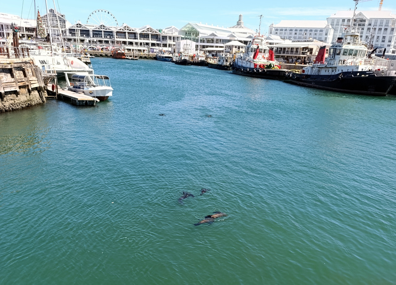 Такая близкая Африка. (ЮАР. 22 дня и 4200 км. Ноябрь-Декабрь) Такая близкая Африка. (ЮАР. 22 дня и 4200 км. Ноябрь-Декабрь)