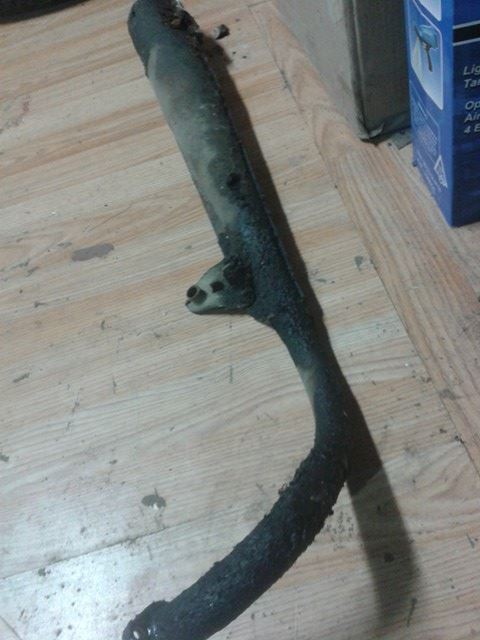 15683229_10209846062782502_685894257_n