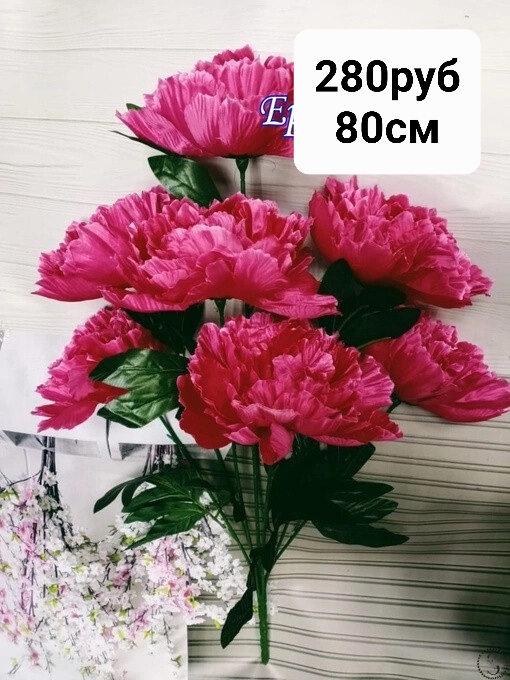 https://i.postimg.cc/PqG6LrWG/IMG-20230221-232924.jpg