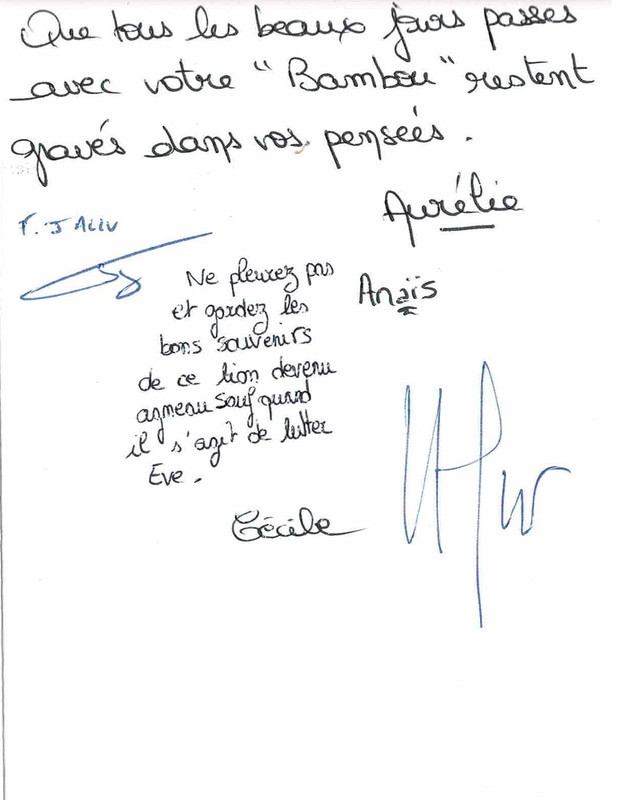 [Image: Num-risation-20220626.jpg]