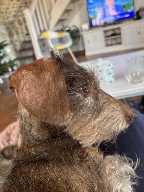 [Image: IMG-9351.jpg]