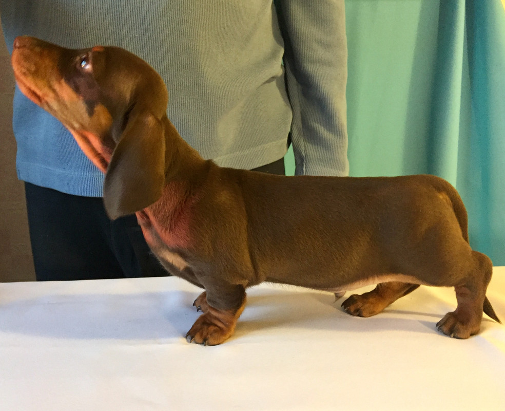 E290DFE6-5F45-4544-944C-C8D5EF2D2536