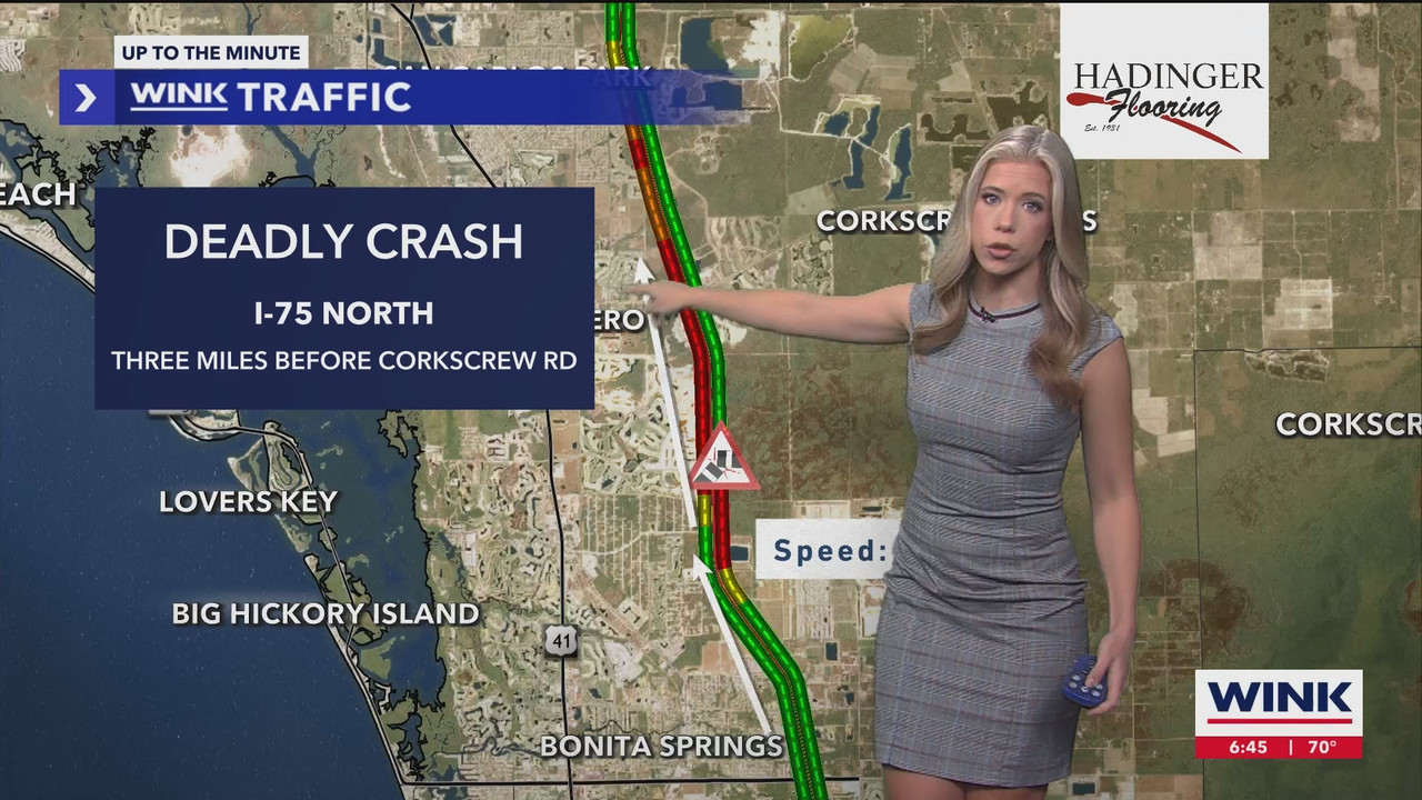 WINK News at 630am_20241101_10301100.ts_snapshot_15.47.457