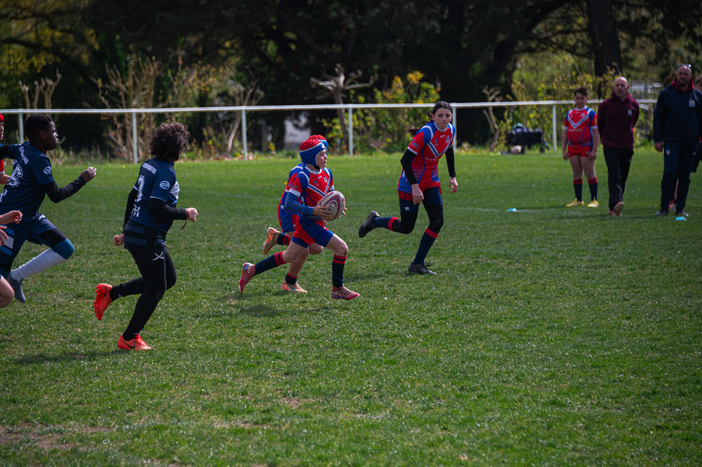 tournoi-de-latlantique-2026-adonis-griffon-35-55181549689-l