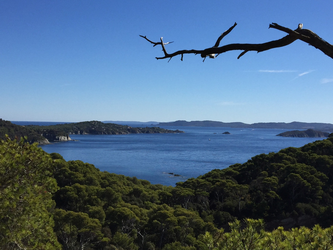 2A905944-E3F3-42FC-ABDA-12A8D2BD498A