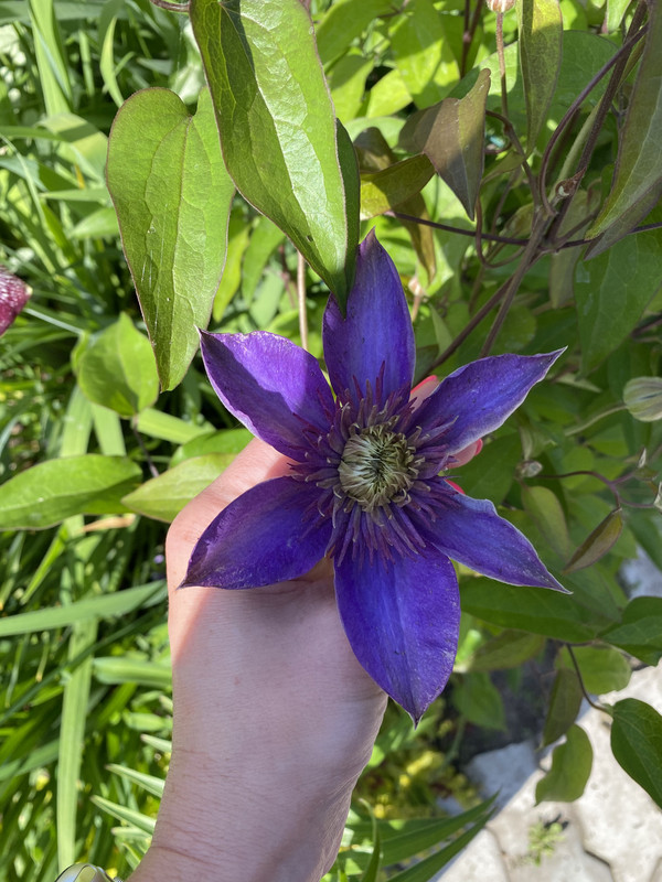 5AE83DD8-BF97-4747-851B-AC117D02766F