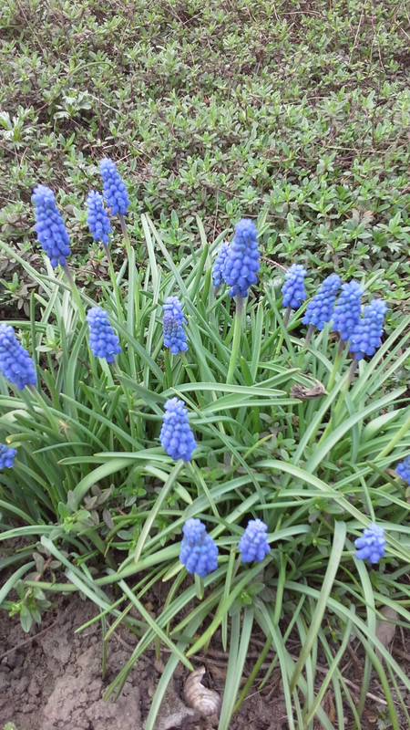 20180421_121411