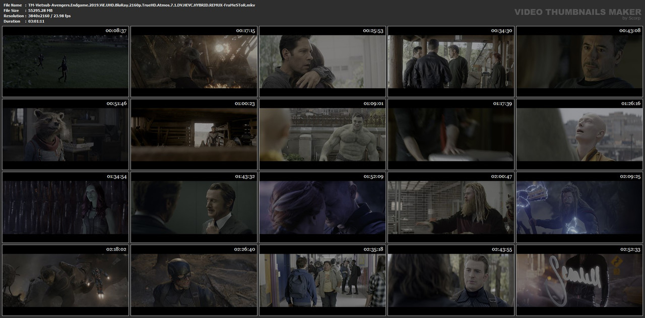 TM-Vietsub-Avengers-Endgame-2019-Vi-E-UHD-Blu-Ray-2160p-True-HD-Atmos-7-1-DV-HEVC-HYBRID-REMUX-Fra-Me-STo.jpg
