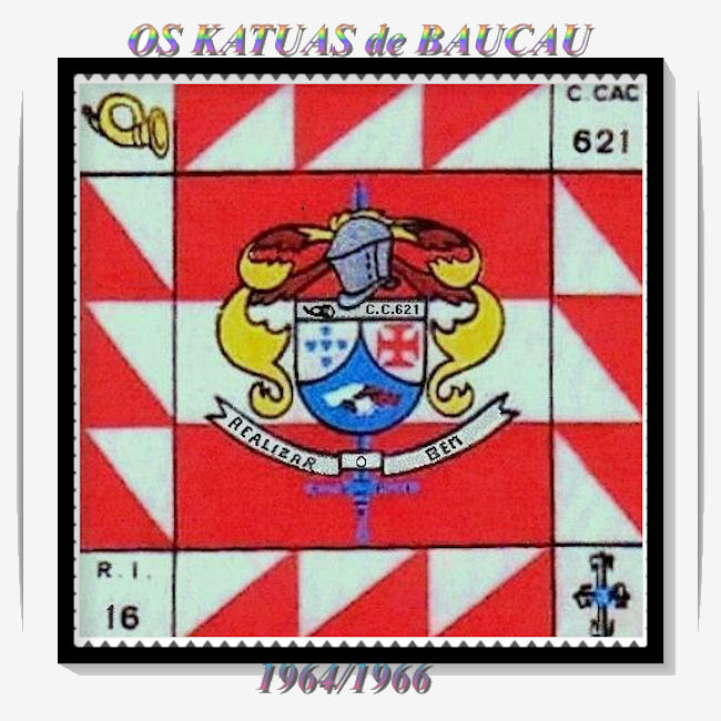 CCac621