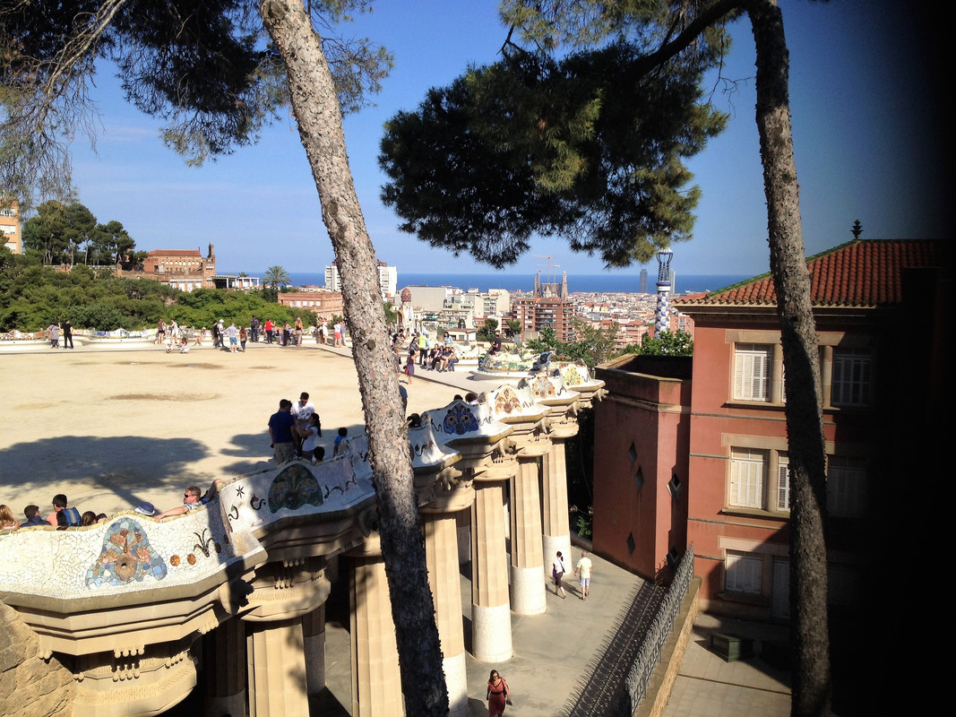 Bradley Schnickel (10)