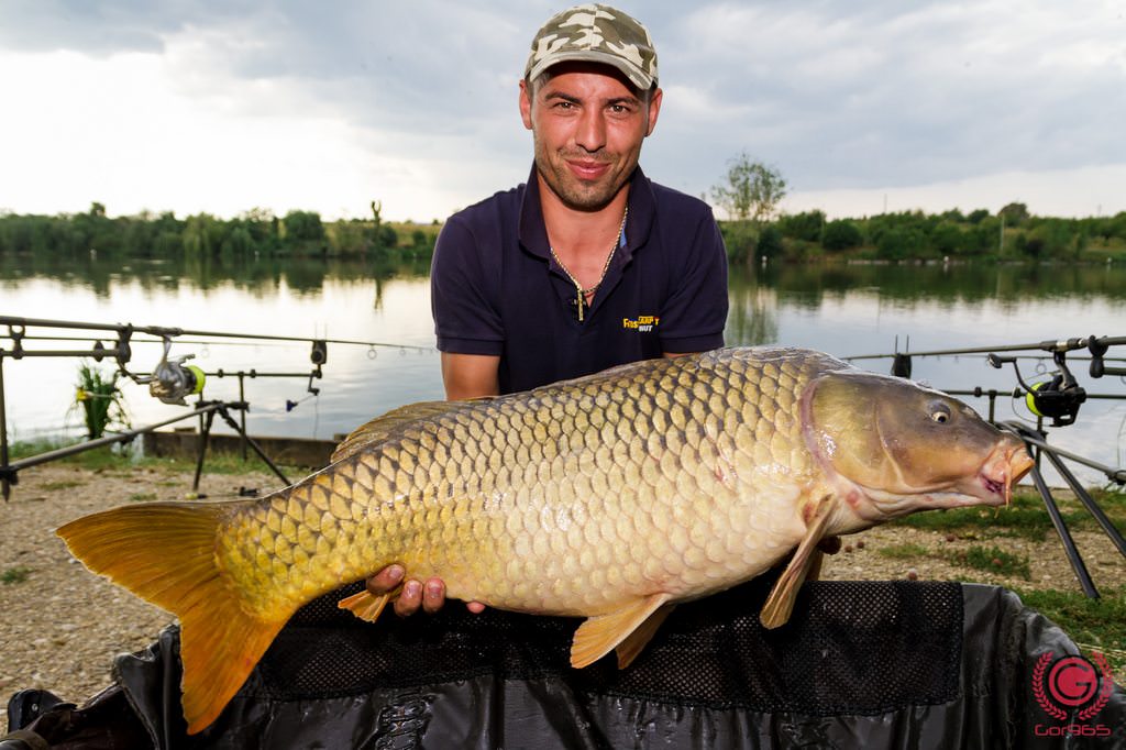 748066AC-35B4-42E1-8CDD-F93020EDEDDF