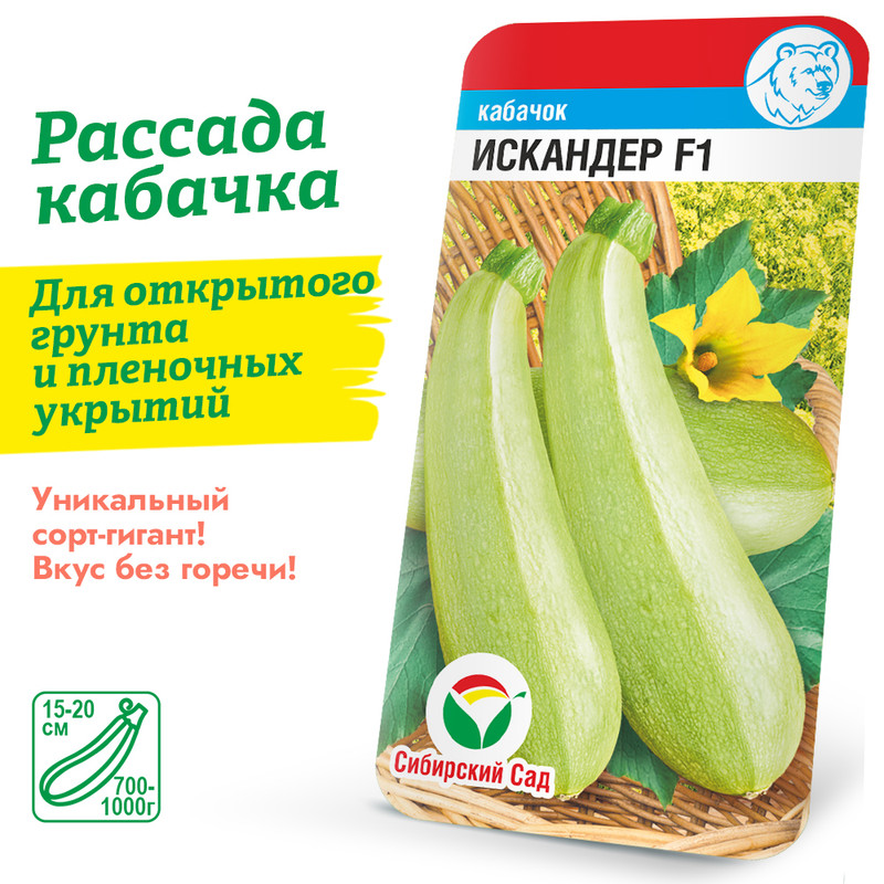кабачок Искандер