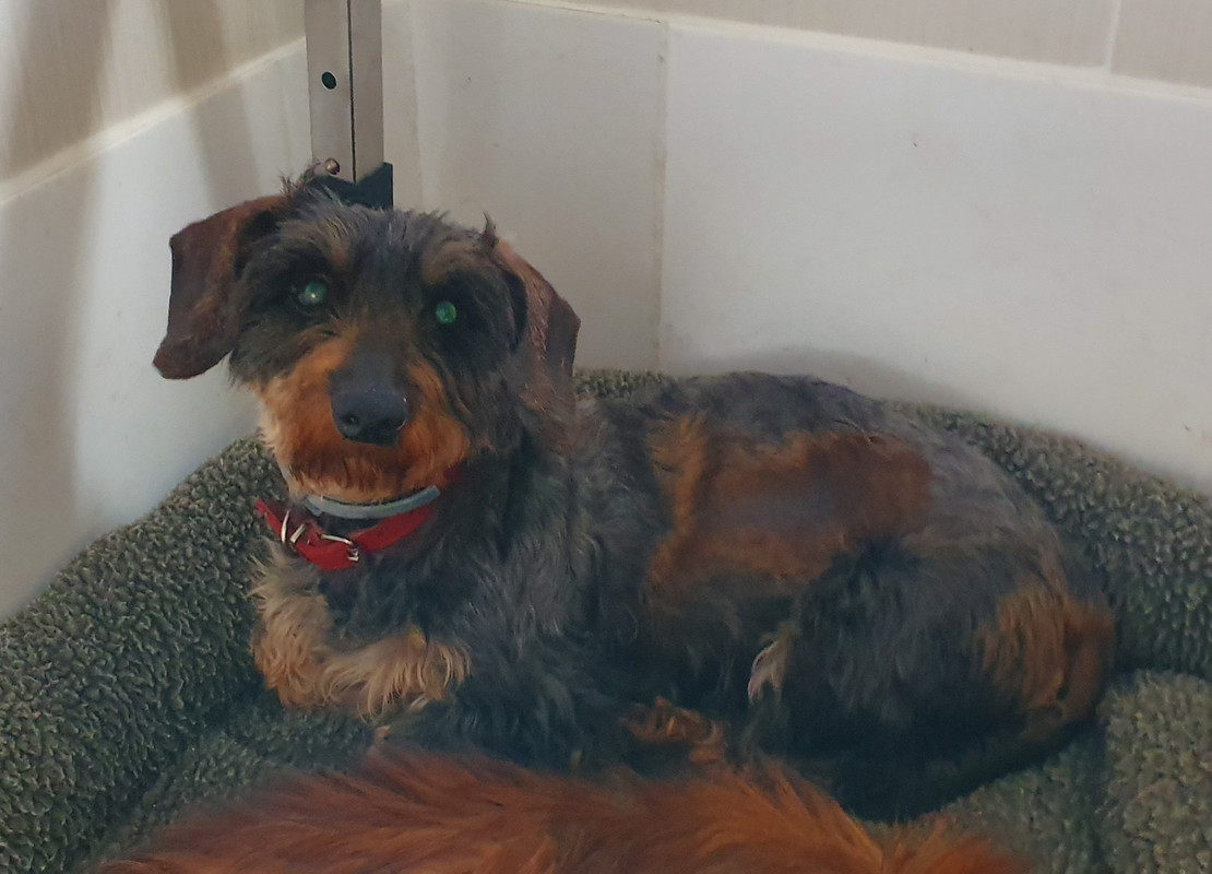 [Image: 20220613-224601.jpg]