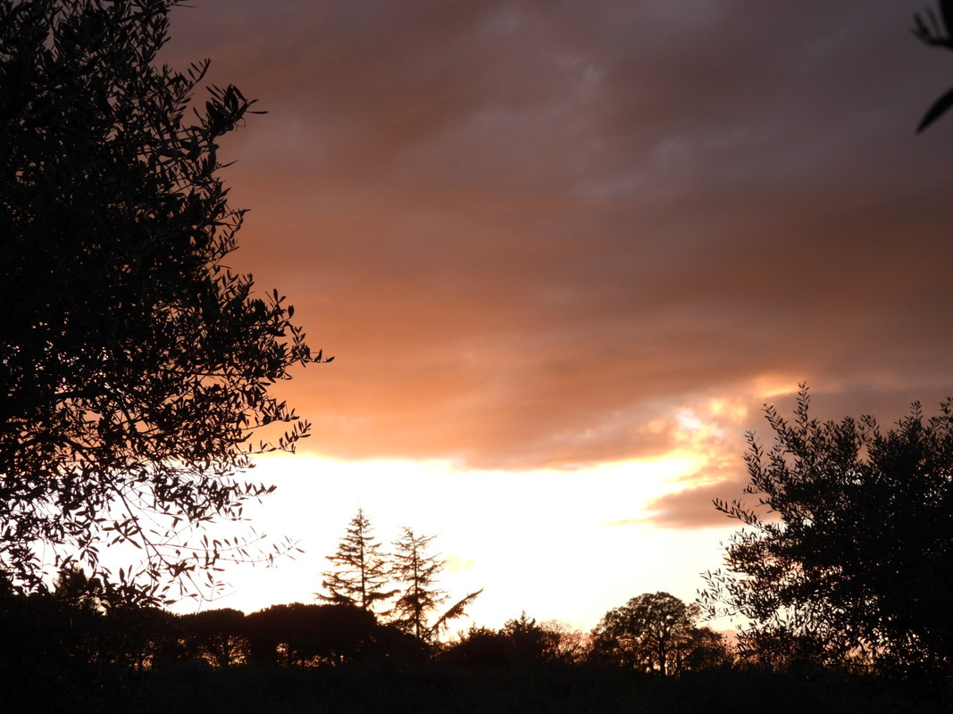 DSCN9472.jpg