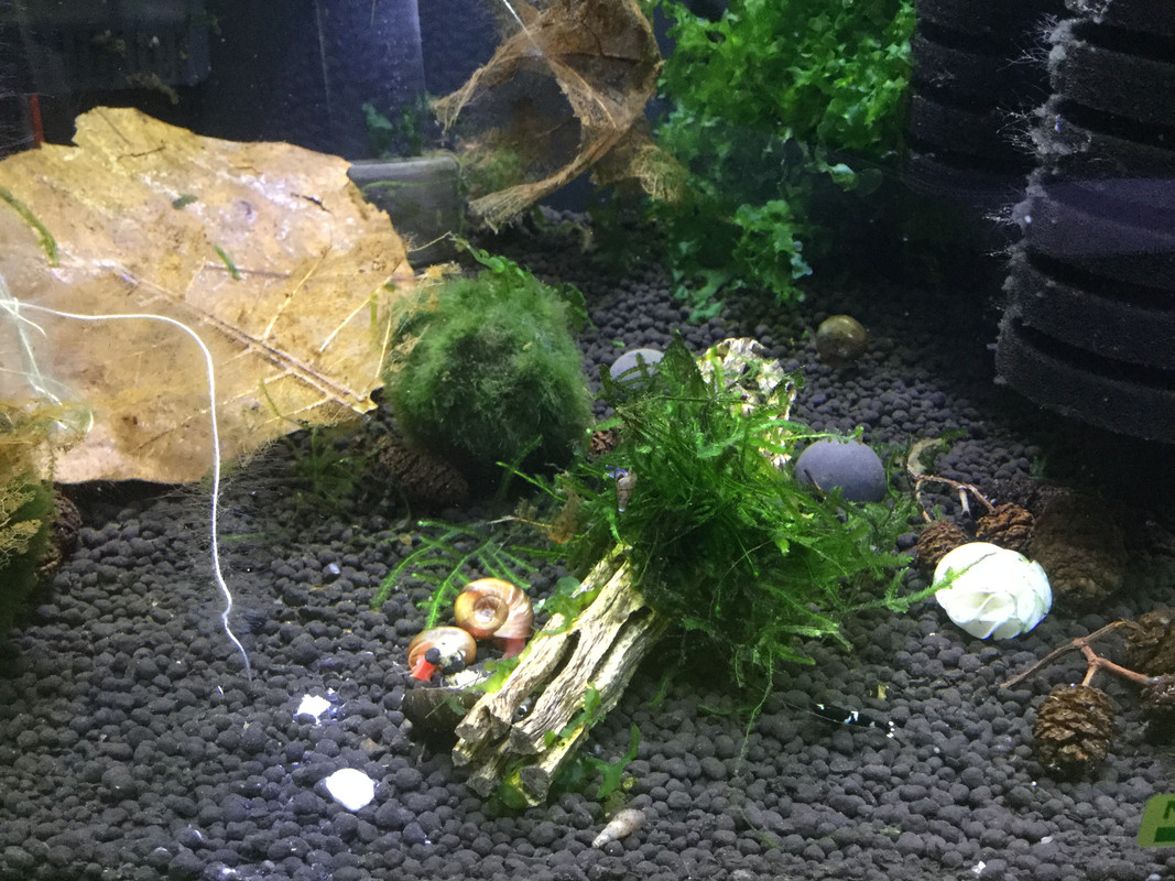 31D68960-BA3D-4AC5-98A5-FE8C311F119B