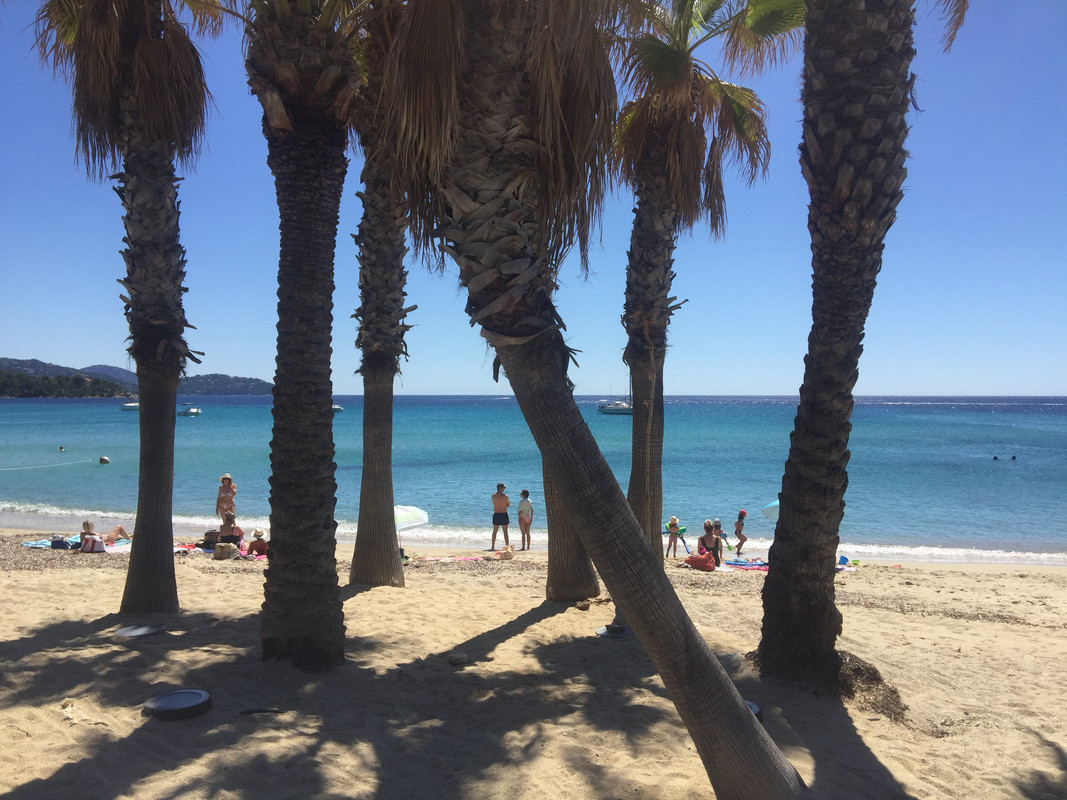 AC5227AC-F85B-4C44-9F5F-88750EDB49D8