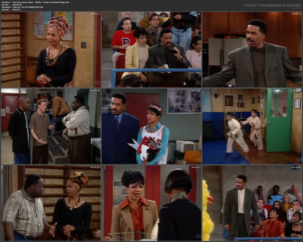 The Steve Harvey Show - S02E09 - I'm Not a Chauvinist Piggy.mkv